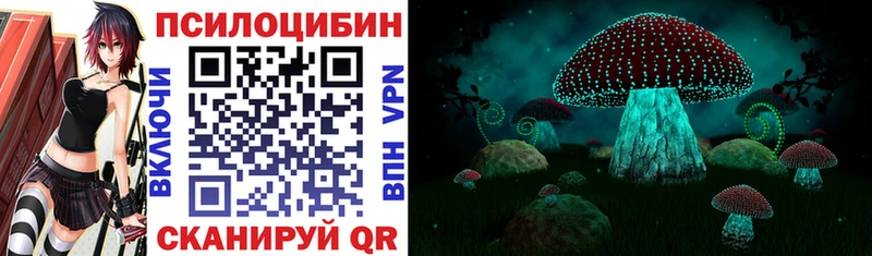 цена наркотик Нижний Тагил Псилоцибиновые грибы прущие грибы
